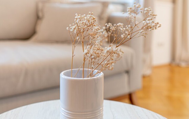 Schönes Gründerzeithaus, 7 schöne Wohnungen, teilweise mit Eigengärten, teilweise bereits eingerichtet für RBnB-Vermietung Schönes Gründerzeithaus, 7 schöne Wohnungen, teilweise mit Eigengärten, teilweise bereits eingerichtet für RBnB-Vermietung