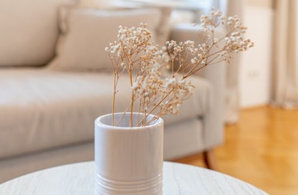 Schönes Gründerzeithaus, 7 schöne Wohnungen, teilweise mit Eigengärten, teilweise bereits eingerichtet für RBnB-Vermietung